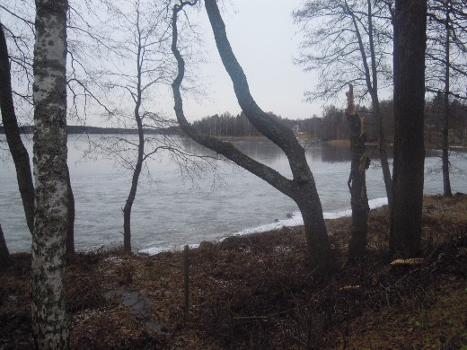 Lahnajärven Suntianlahti vetäytyi jäähän. Rannassa vielä rippeet syksyn ensimmäisestä jäästä.