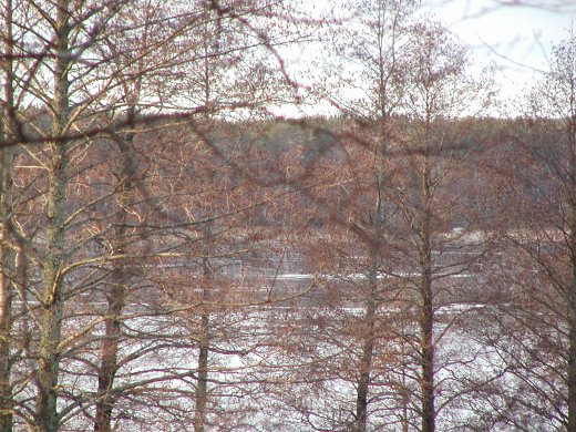 Vaikka ihan kaunishan lumeton Lahnajärvi on, kun aurinko alkoi paistaa.