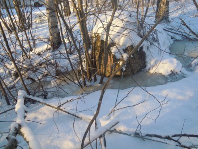 Virtaava puro on jäätynyt rinteeseen niille sijoilleen.