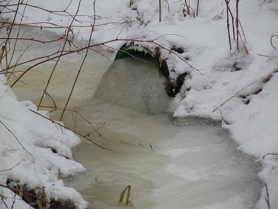 Rumpu on tanakasti jäässä.