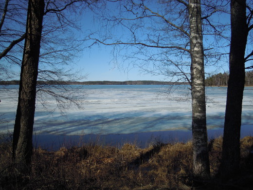 Lahnajärven jää sulaa liki silmissä. Suntianlahden rantaviiva oli lauantaina tämän verren sula.