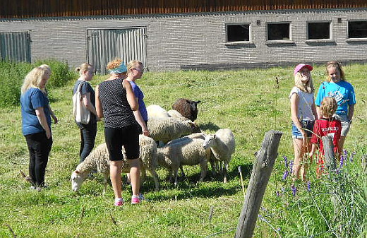 Päivän mittaan tytär Jasmin Jukkara oli vetänyt monta esittelykierrosta tilalla, tässä ollaan lammaslaitumella (kuva 912 ), Jasmin oikealla sinisessä puserossa. 