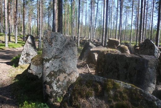 Virolahdelta Miehikkälään ulottuva retkeilyreitti seuraa Salpalinjaa. Panssariesteet paistattelivat toukokuun auringossa, kesän ensimmäisissä helteissä.